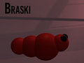 Braski