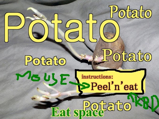 POTATO POTATO POTATO POTATO POTATO POTATO POTATO POTATO POTATO