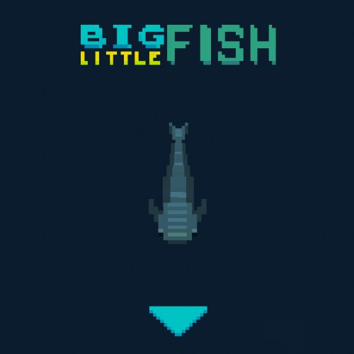 Big Fish Little Fish