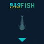 Big Fish Little Fish