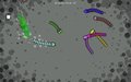 DrinkMilk