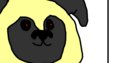 Adventures of Pug