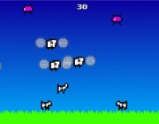 Two Button Zoo