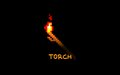 Torch