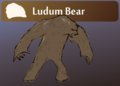 Ludum Bear