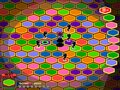 Disco Arachno
