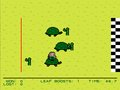 Darwin's Turtle Race Challenge