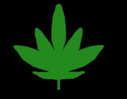 Growing Weed