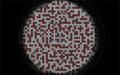 Maze of Pain