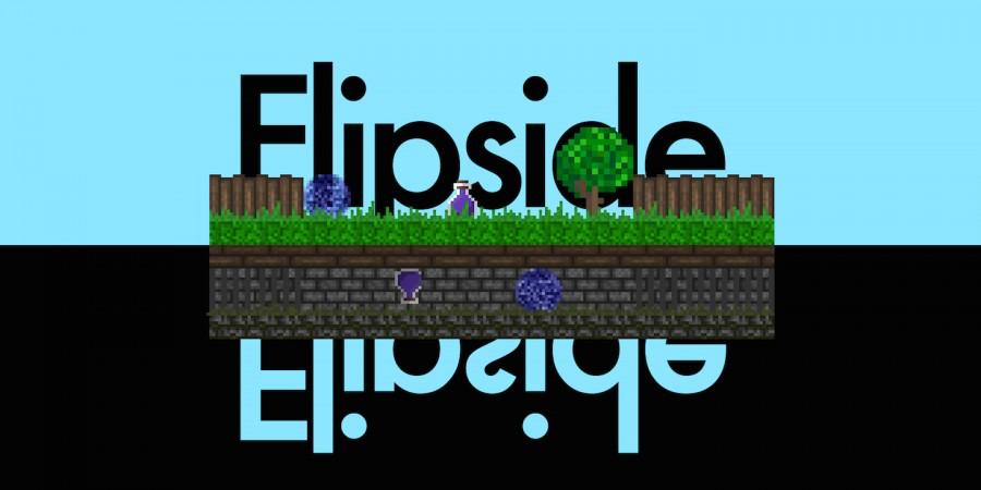 Flipside