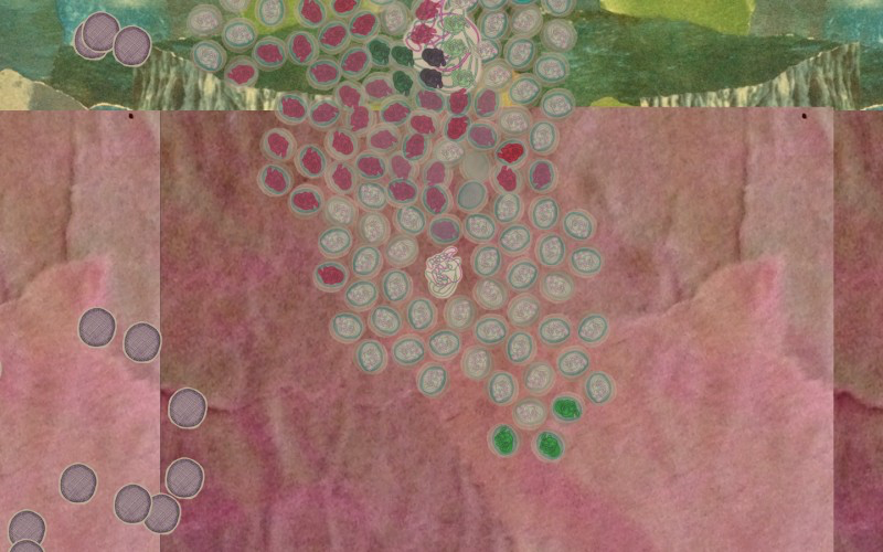 Rhizome