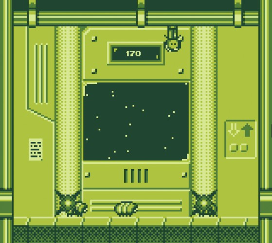 GraviFlip