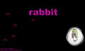 Rabbit