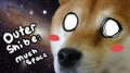 Outer Shibe: Much Space