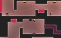 Arachnoid