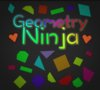 Geometry Ninja
