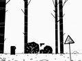 Forest Walk