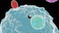 Gem Worlds