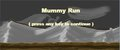 Mummy Run