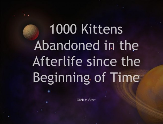 1000 Kittens Abandoned in the Afterlife since the Beginning of Time