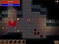 Dungeon Raider