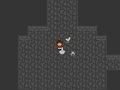 Shapeshifter's Quest
