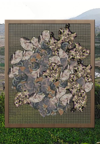 Unfinished Archaeology