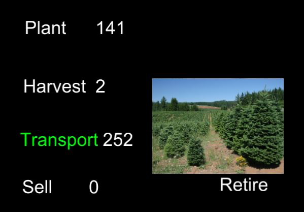Christmas Tree Tycoon