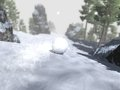 SnowRoll