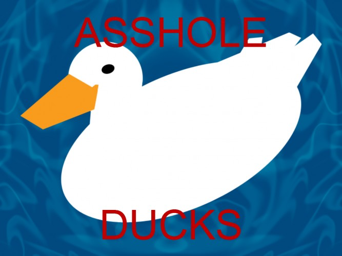 Asshole Ducks