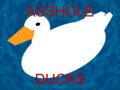 Asshole Ducks