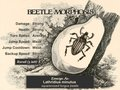 Beetle Morphosis