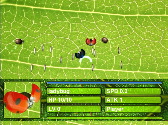 Bugs