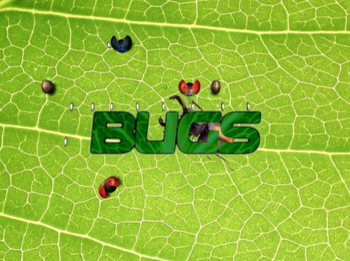 Bugs