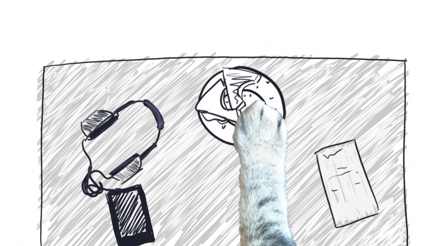 Amusing Catventures