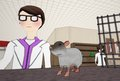 Cruelty Free