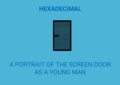 A Portrait of the Screen Door as a Young Man