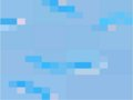 Evolution Sim