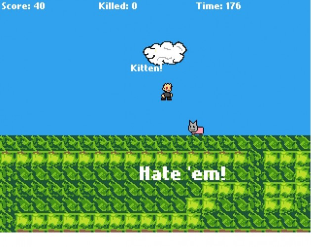 Kitten Hater