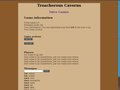 Treacherous Caverns