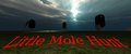 Little Mole Hunt