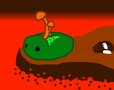 Cordyceps