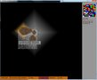 Cell evolution simulator