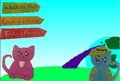Cat planet
