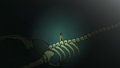 Last Dive