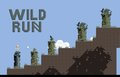 Wild Run