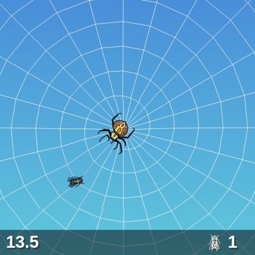 Web of Flies