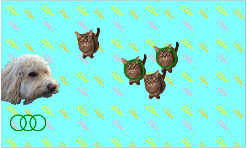 Cats and dogs