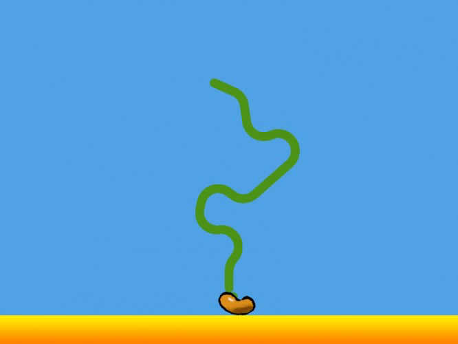 The beanstalk (and maybe Jack)