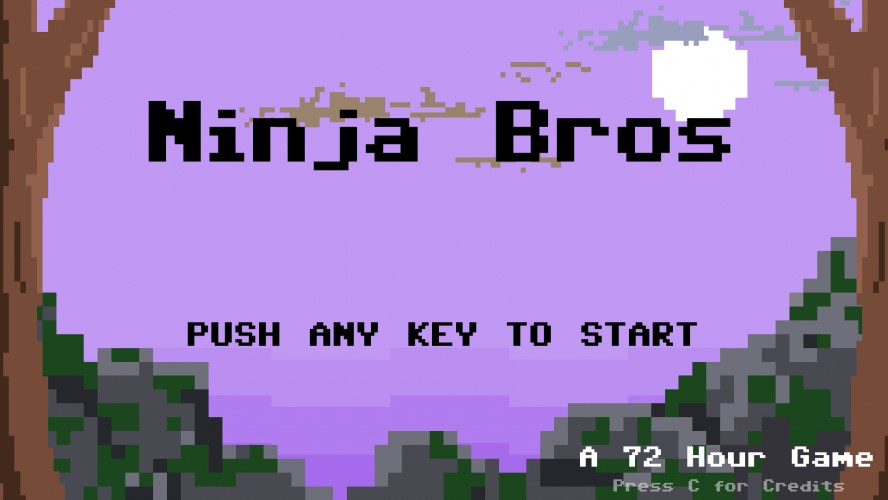 Ninja Bros